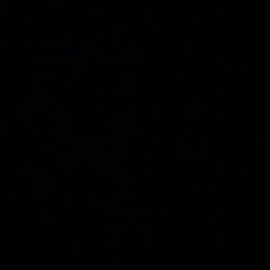 Meet your Posher, Anne